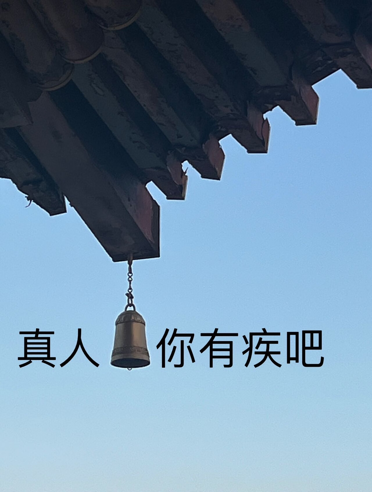 真人你有疾吧（重生）